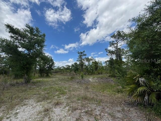 29305 HAZELWOOD DR, PUNTA GORDA, FL, 33982