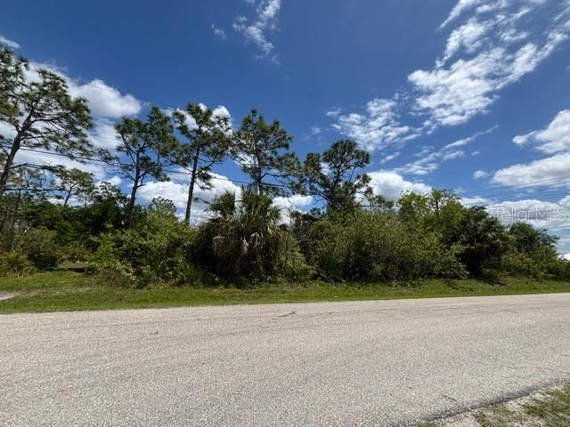 29305 HAZELWOOD DR, PUNTA GORDA, FL, 33982