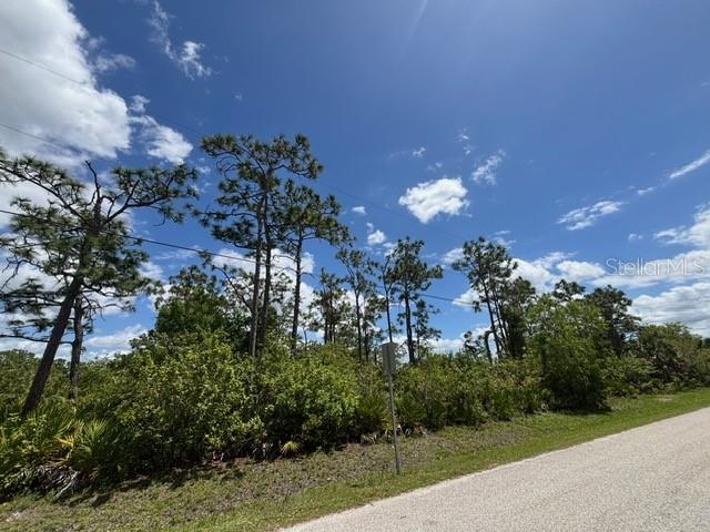 29305 HAZELWOOD DR, PUNTA GORDA, FL, 33982