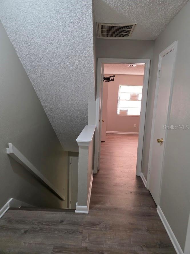2031 PINE CHACE CT, TAMPA, FL, 33613