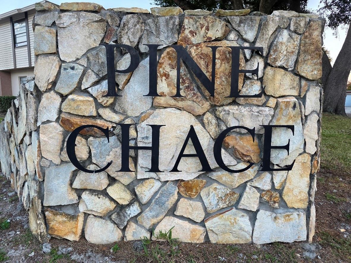 2031 PINE CHACE CT, TAMPA, FL, 33613