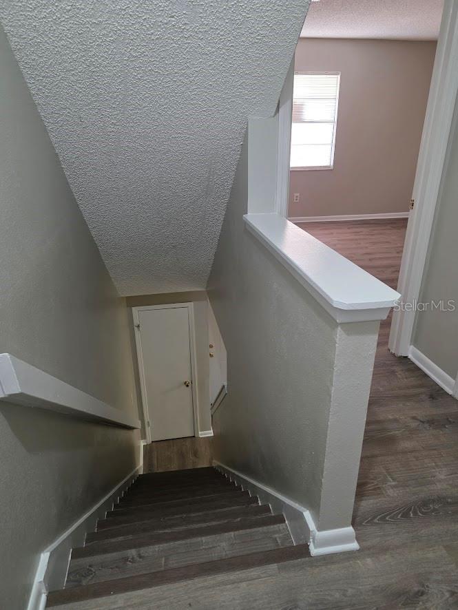 2031 PINE CHACE CT, TAMPA, FL, 33613