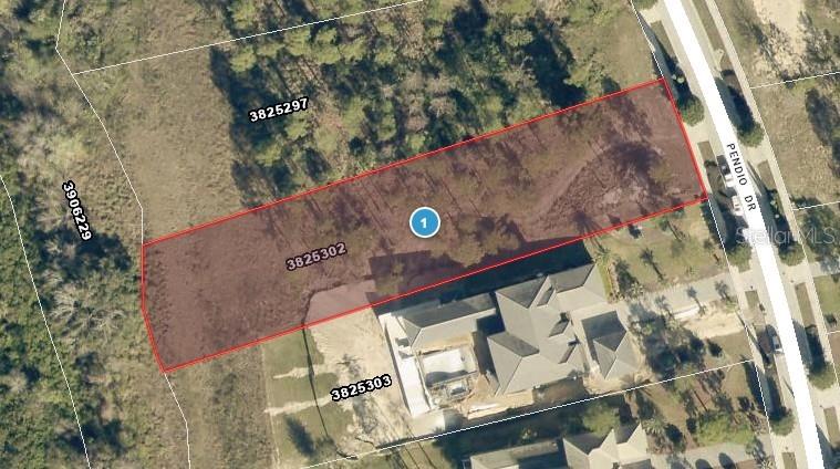 16401 PENDIO DR, BELLA COLLINA, FL, 34756