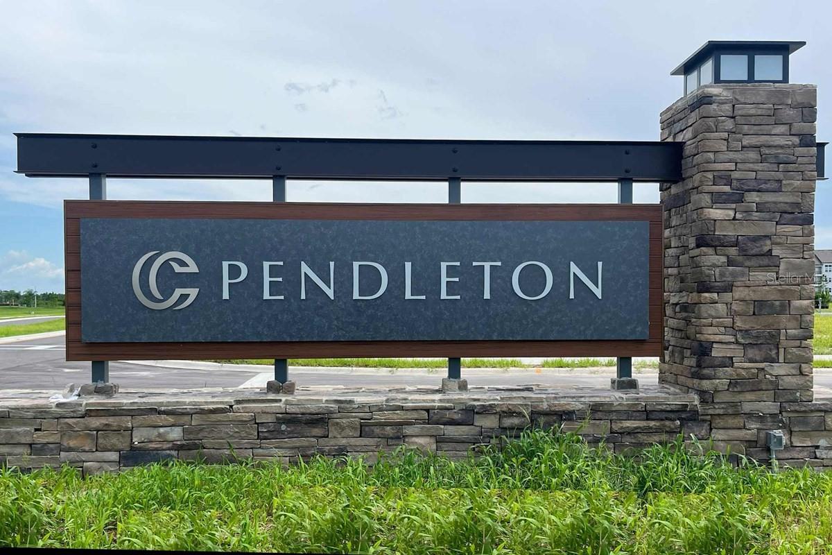 31327 PENDLETON LANDING CIR, WESLEY CHAPEL, FL, 33545