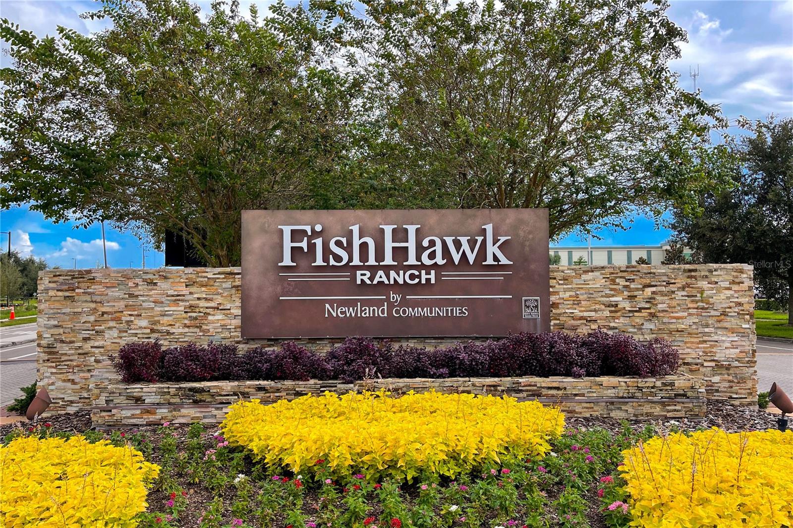 16018 LONEOAK VIEW DR, LITHIA, FL, 33547