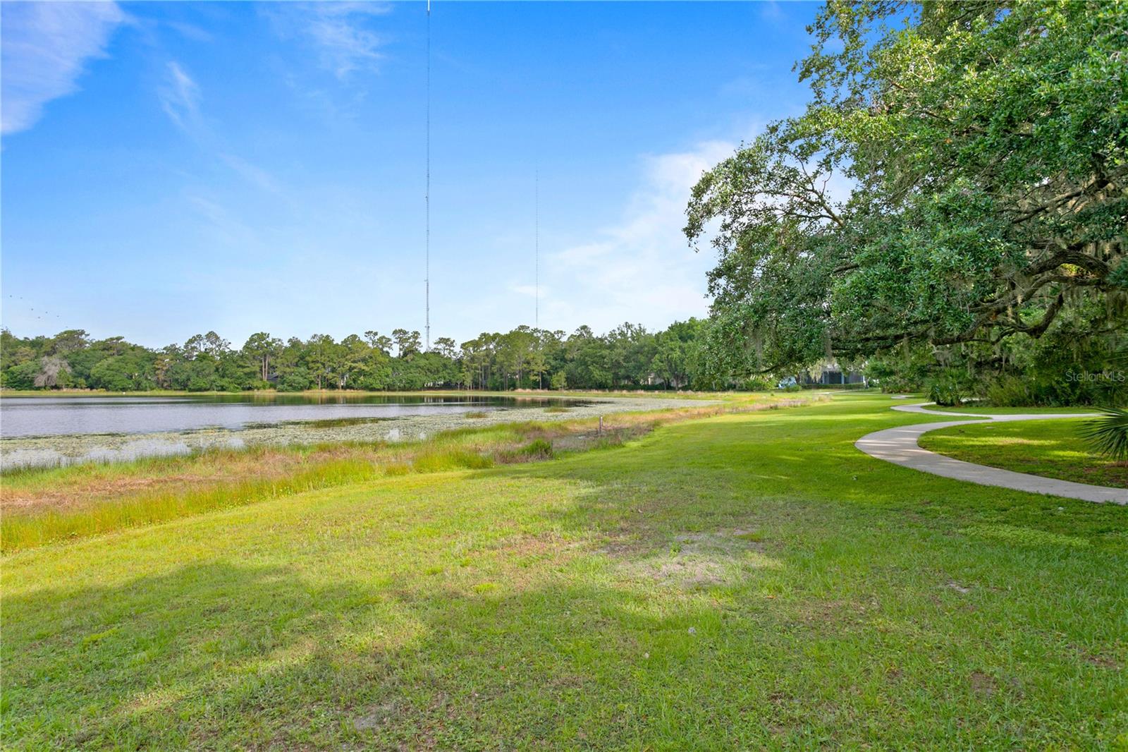 16018 LONEOAK VIEW DR, LITHIA, FL, 33547
