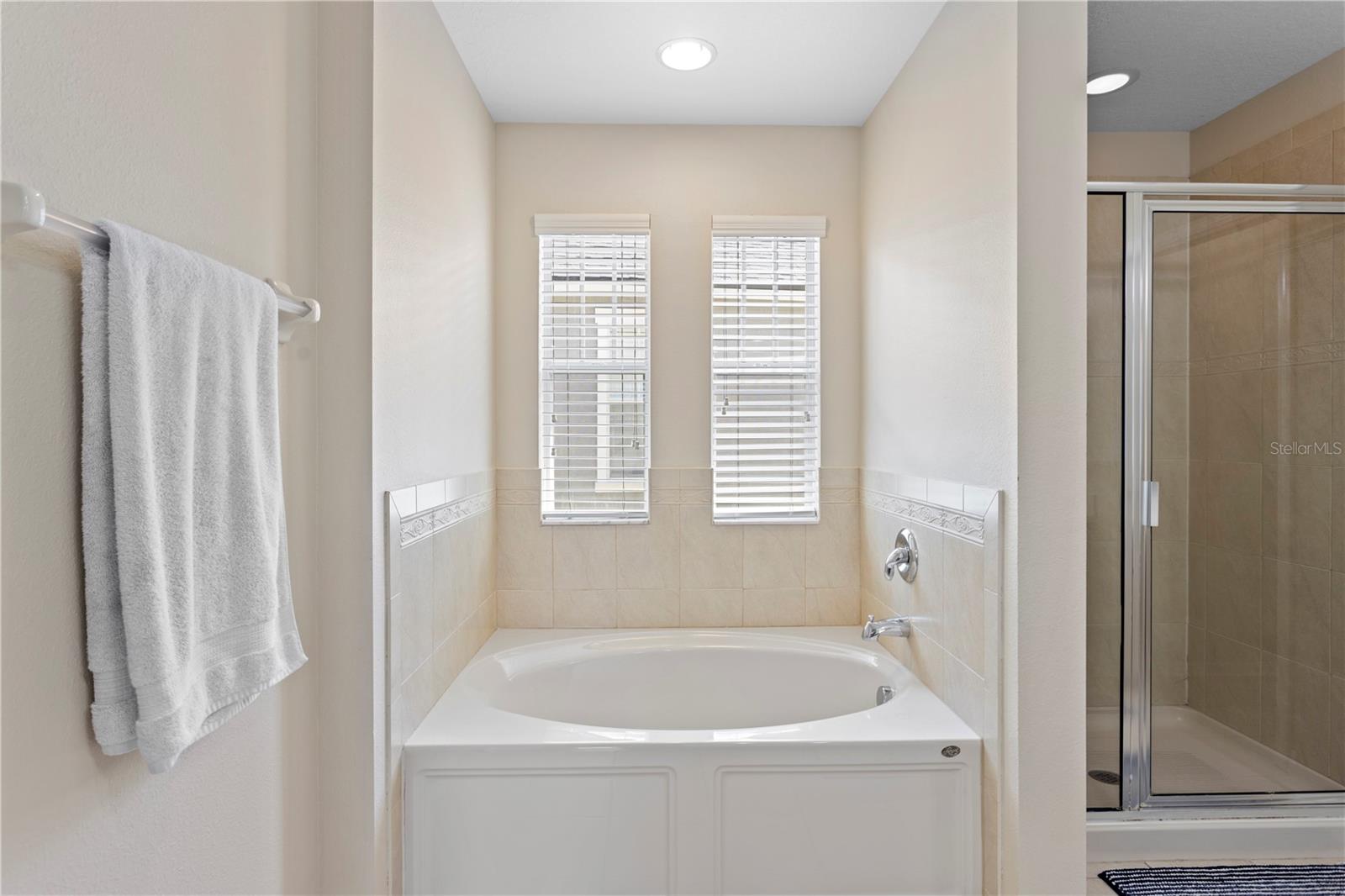 16018 LONEOAK VIEW DR, LITHIA, FL, 33547