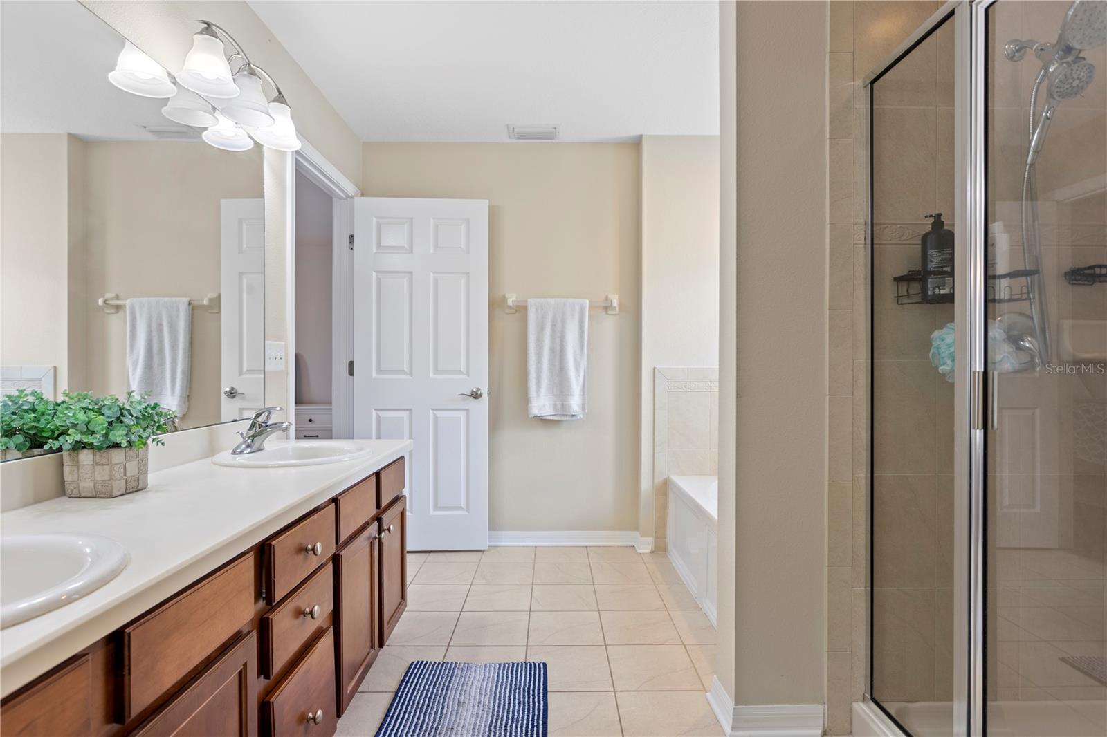 16018 LONEOAK VIEW DR, LITHIA, FL, 33547