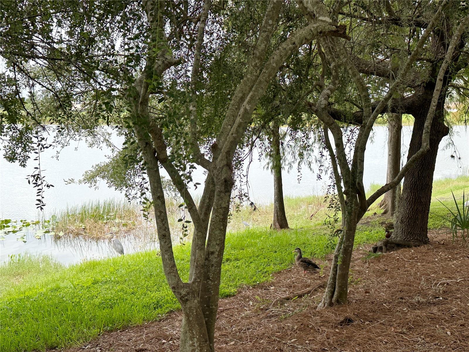 5024 SHOREWAY LOOP #10706, ORLANDO, FL, 32819