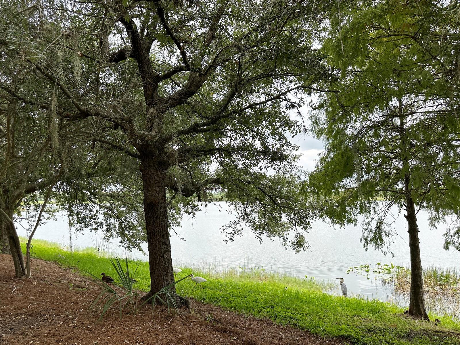 5024 SHOREWAY LOOP #10706, ORLANDO, FL, 32819