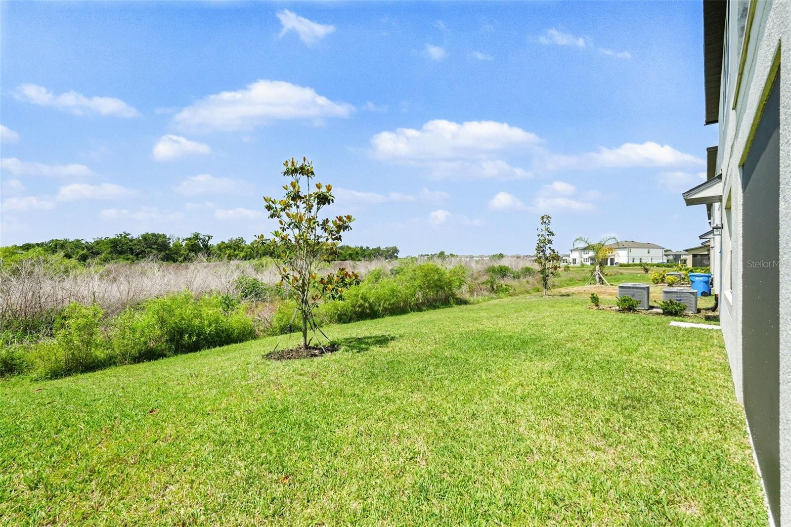 38152 COBBLE CREEK BLVD, ZEPHYRHILLS, FL, 33540