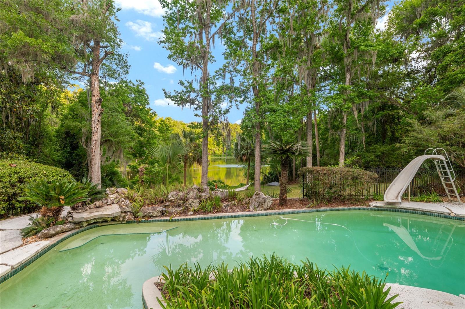 HAMMOCK THE, GAINESVILLE, FL, 32653