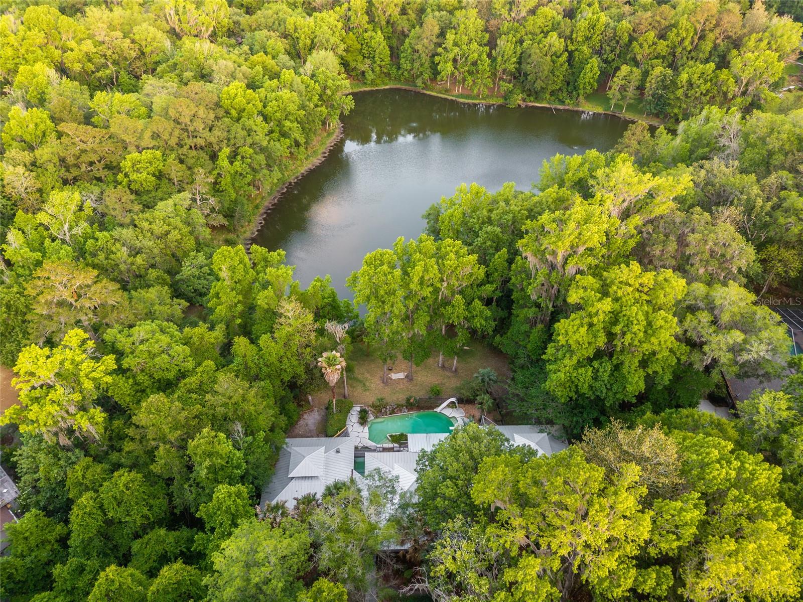 HAMMOCK THE, GAINESVILLE, FL, 32653
