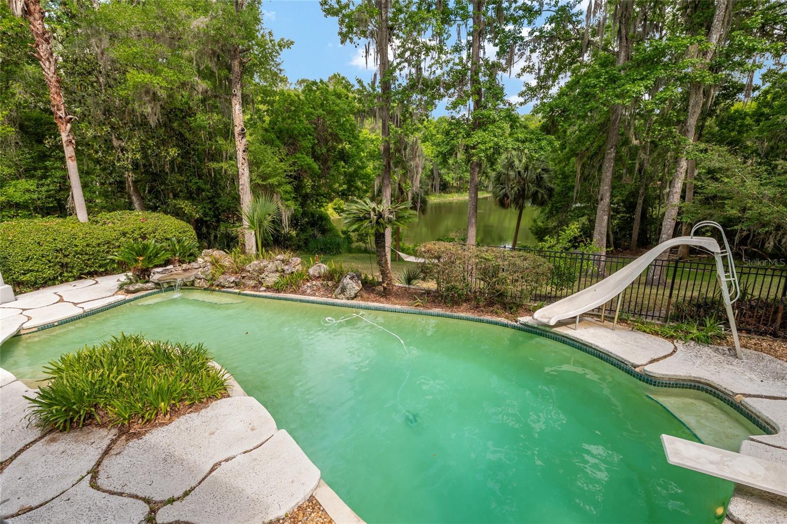 HAMMOCK THE, GAINESVILLE, FL, 32653