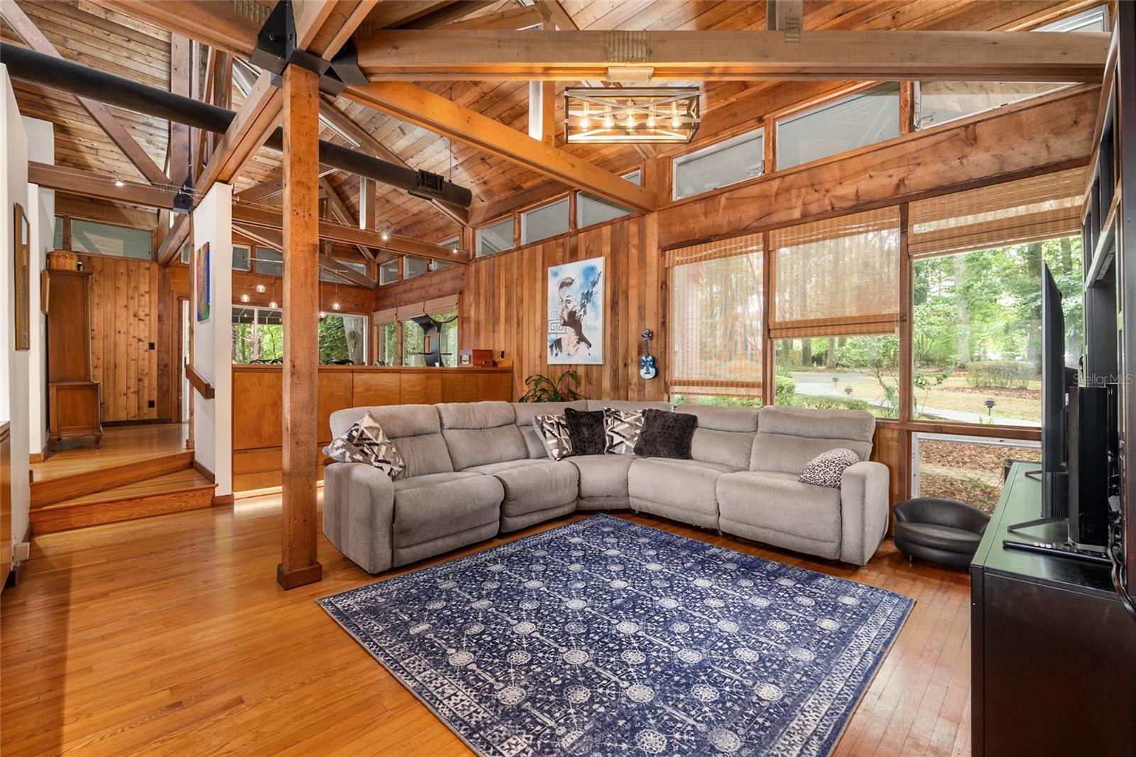 HAMMOCK THE, GAINESVILLE, FL, 32653