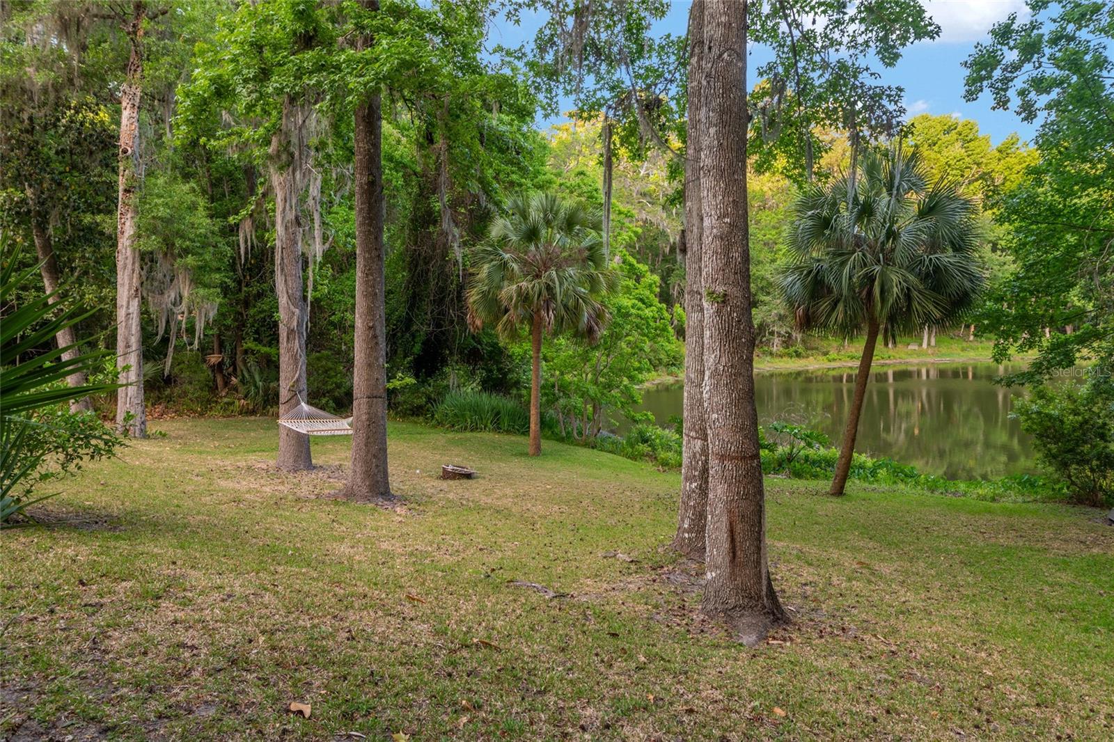 HAMMOCK THE, GAINESVILLE, FL, 32653