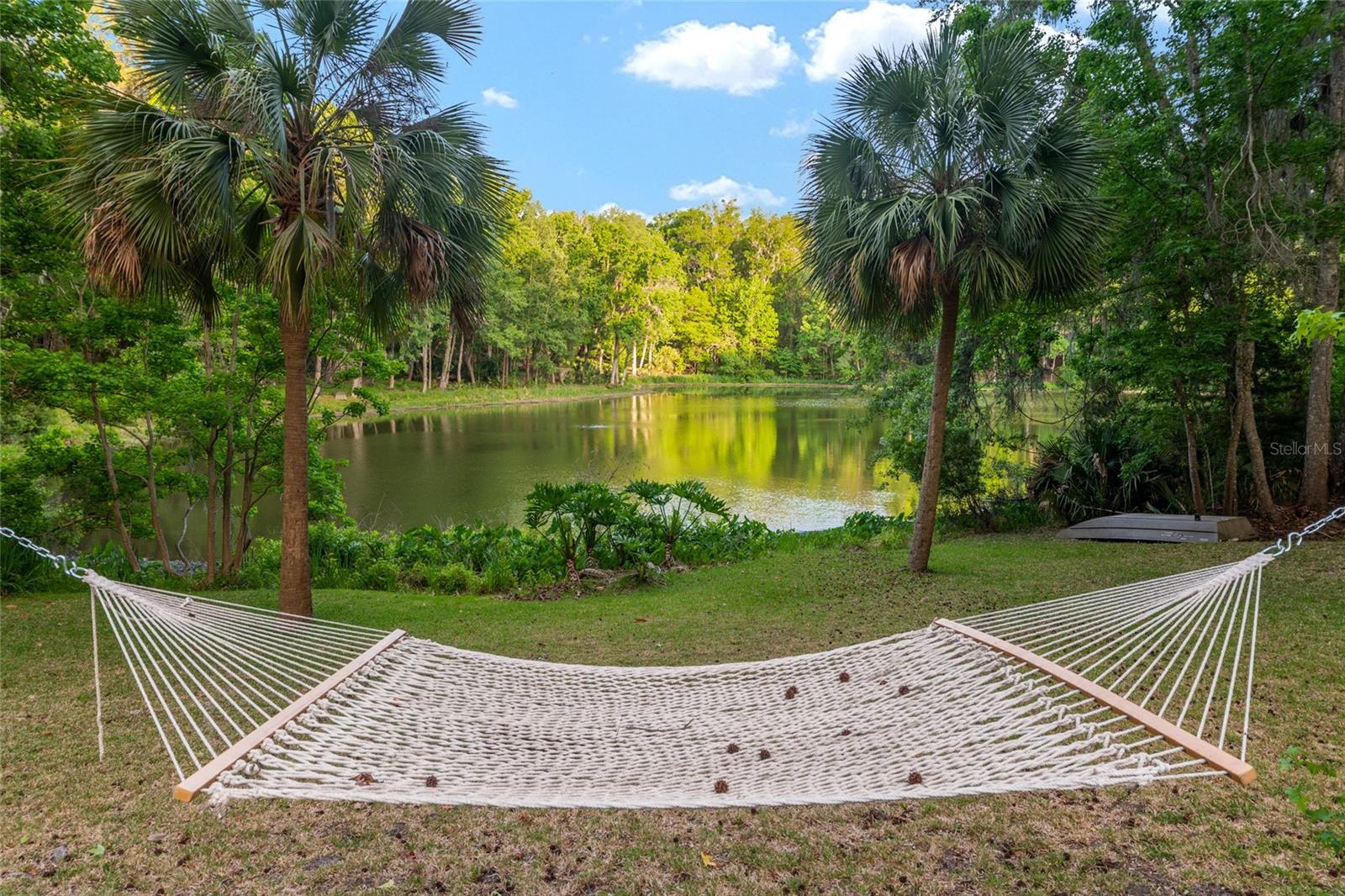 HAMMOCK THE, GAINESVILLE, FL, 32653
