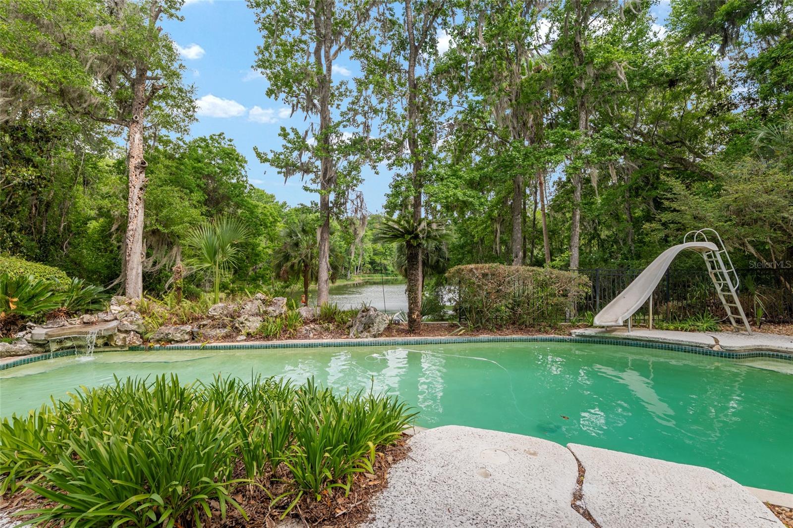 HAMMOCK THE, GAINESVILLE, FL, 32653