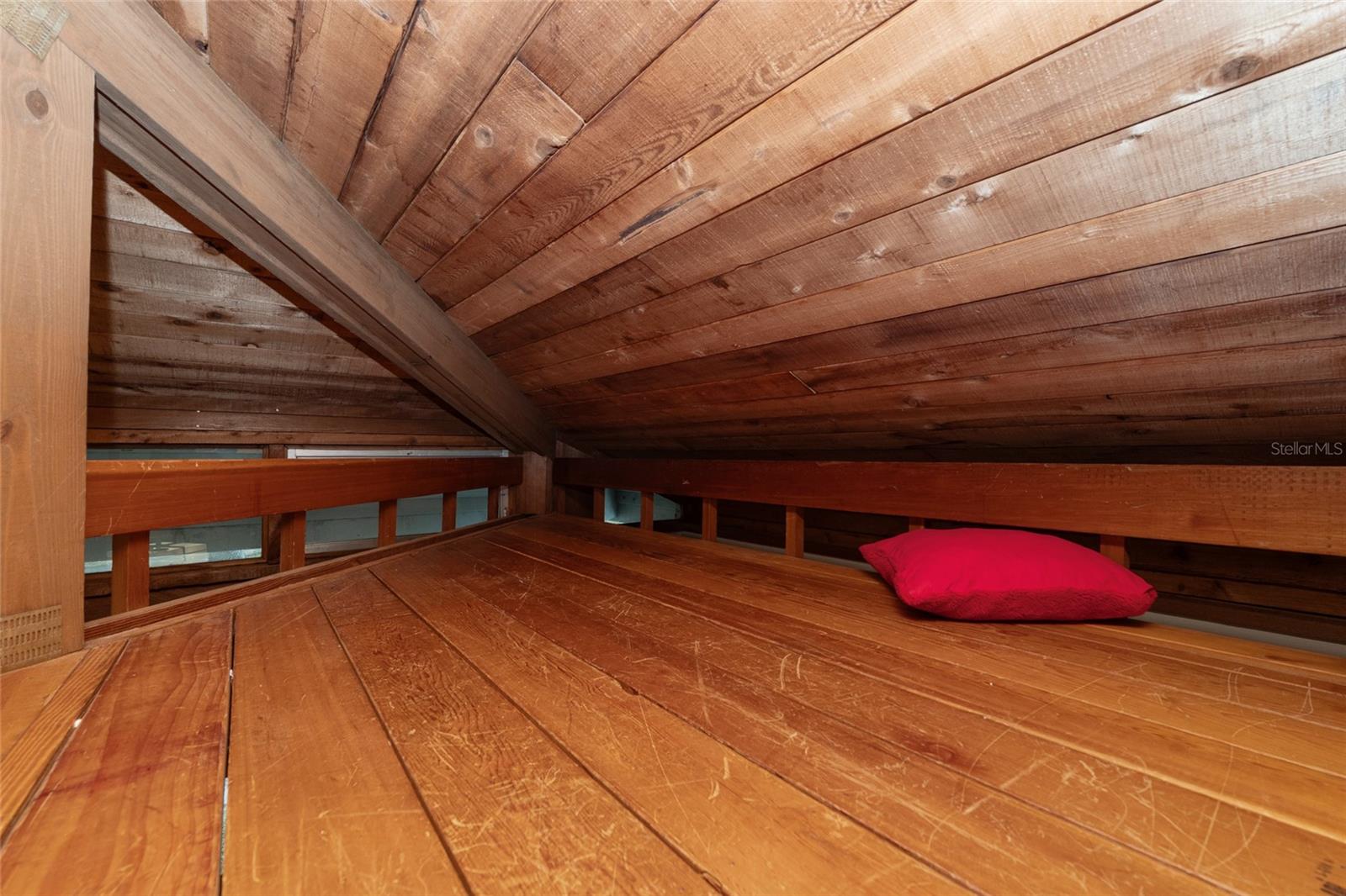 HAMMOCK THE, GAINESVILLE, FL, 32653