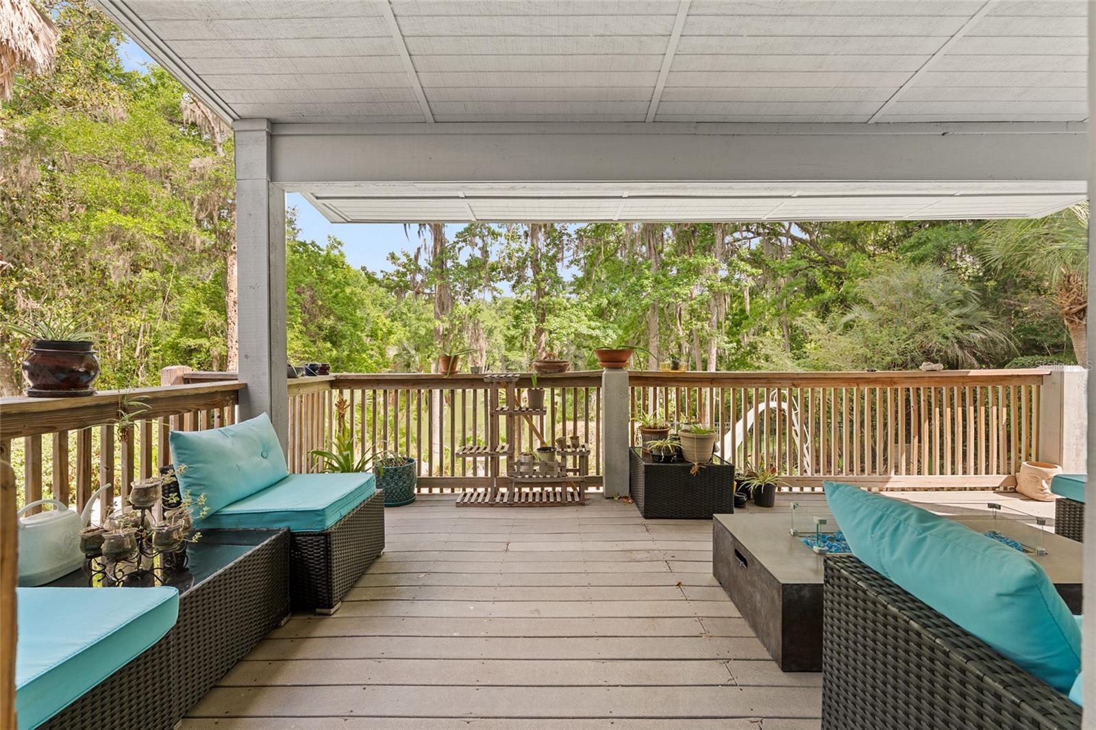HAMMOCK THE, GAINESVILLE, FL, 32653