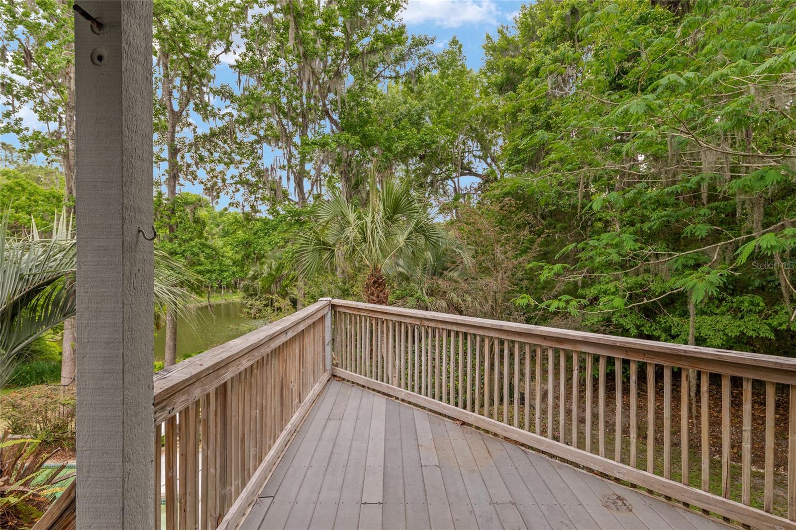 HAMMOCK THE, GAINESVILLE, FL, 32653