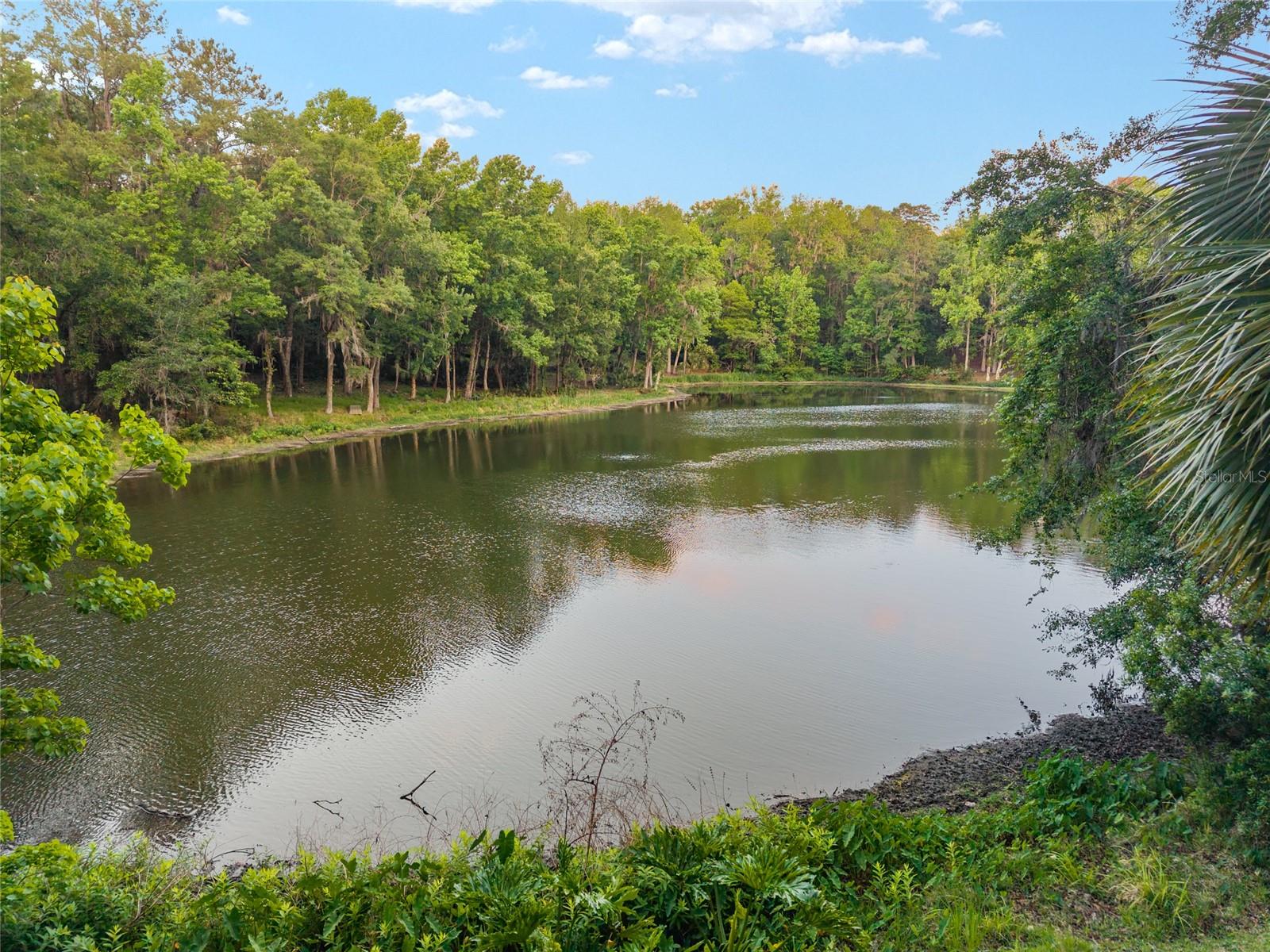 HAMMOCK THE, GAINESVILLE, FL, 32653