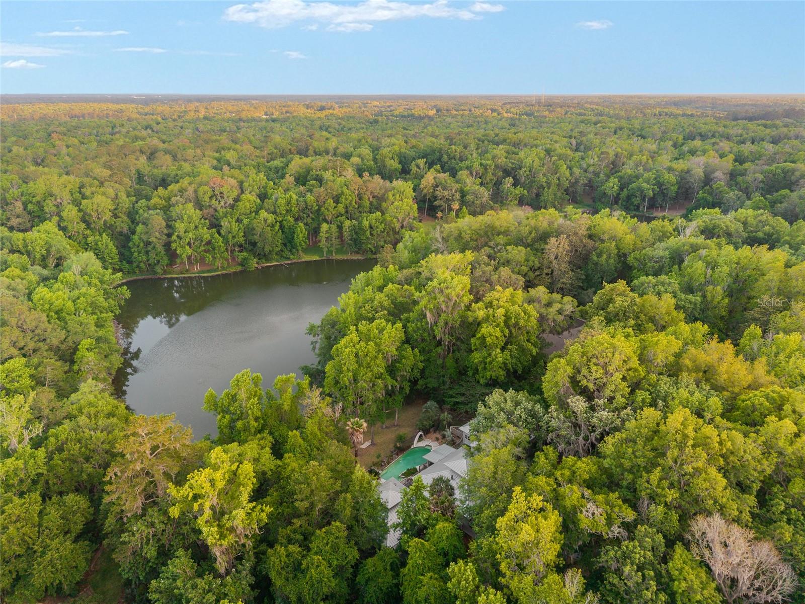 HAMMOCK THE, GAINESVILLE, FL, 32653