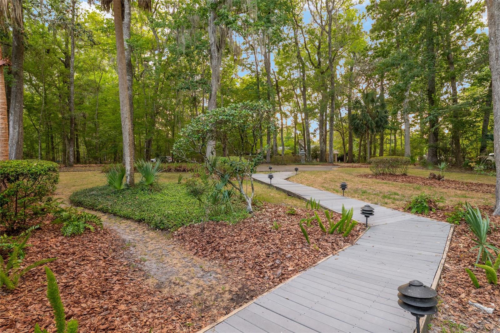 HAMMOCK THE, GAINESVILLE, FL, 32653