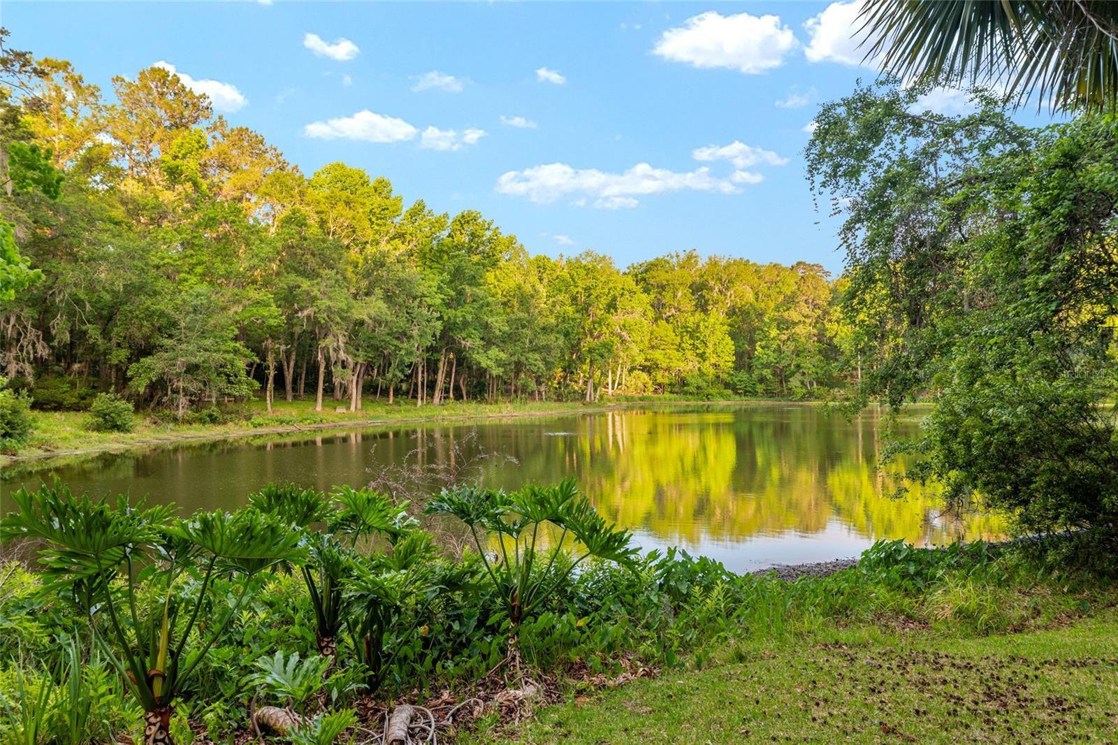 HAMMOCK THE, GAINESVILLE, FL, 32653