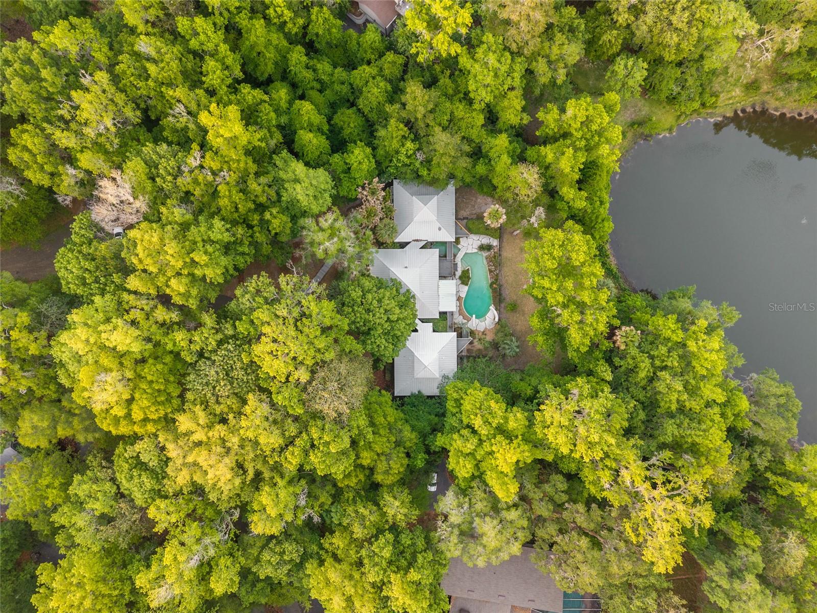 HAMMOCK THE, GAINESVILLE, FL, 32653