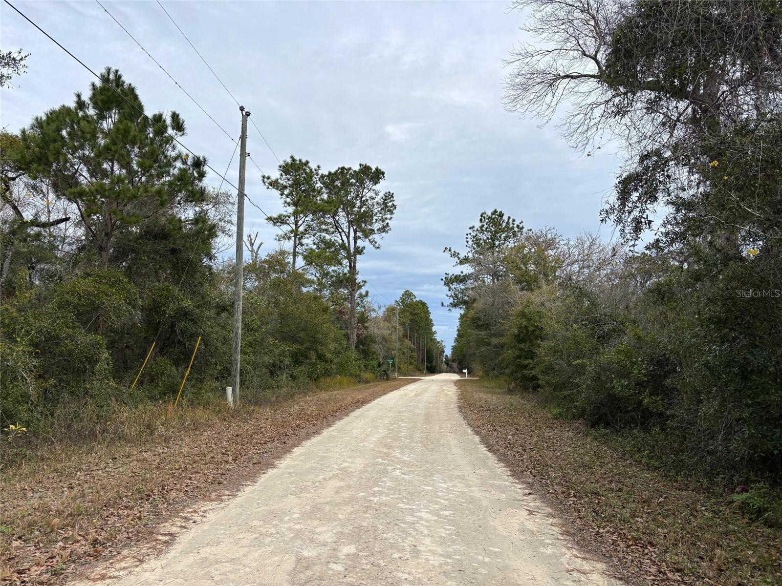 Lot 12 CAROLINA DOVE RD, BROOKSVILLE, FL, 34614