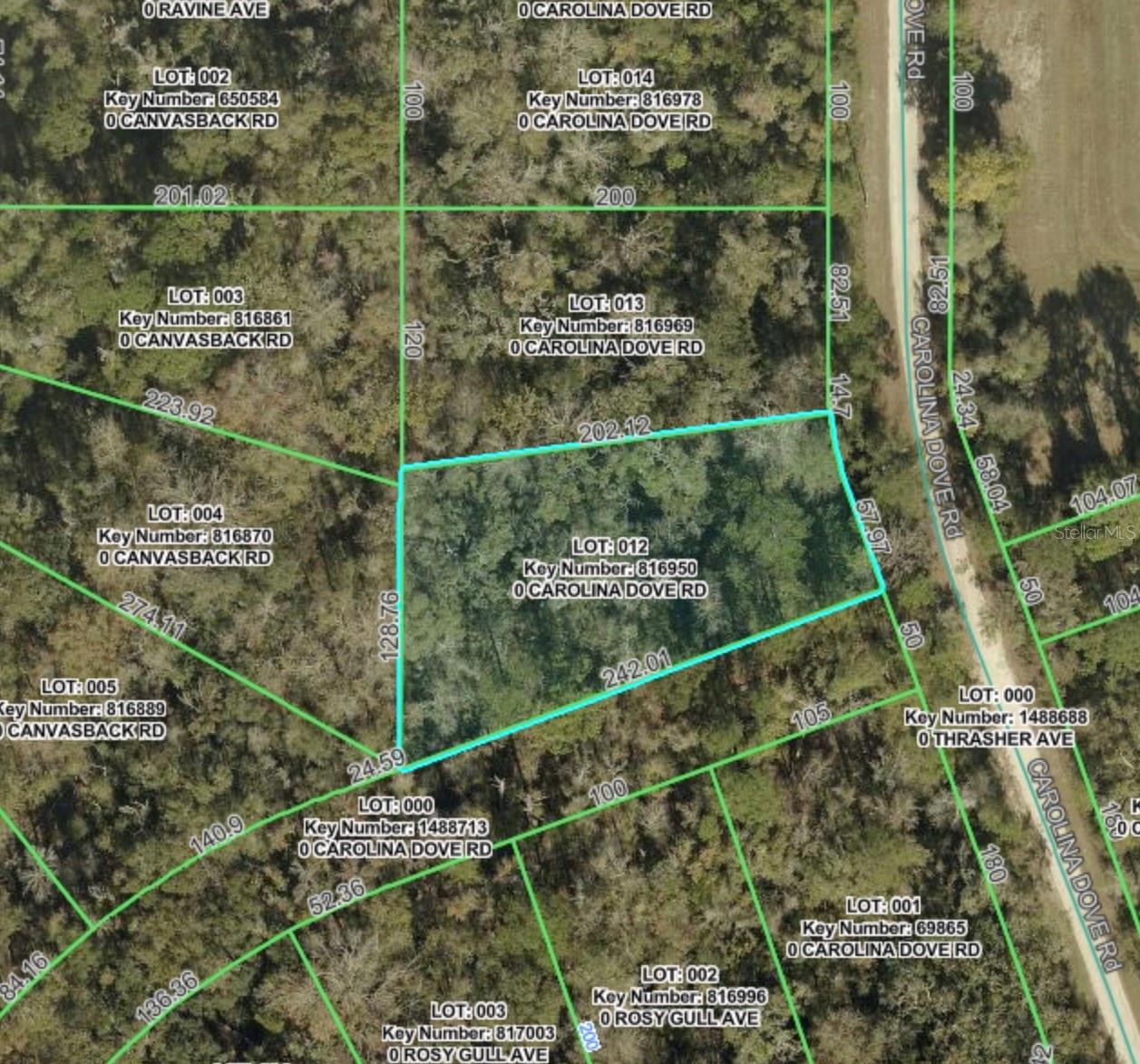 Lot 12 CAROLINA DOVE RD, BROOKSVILLE, FL, 34614