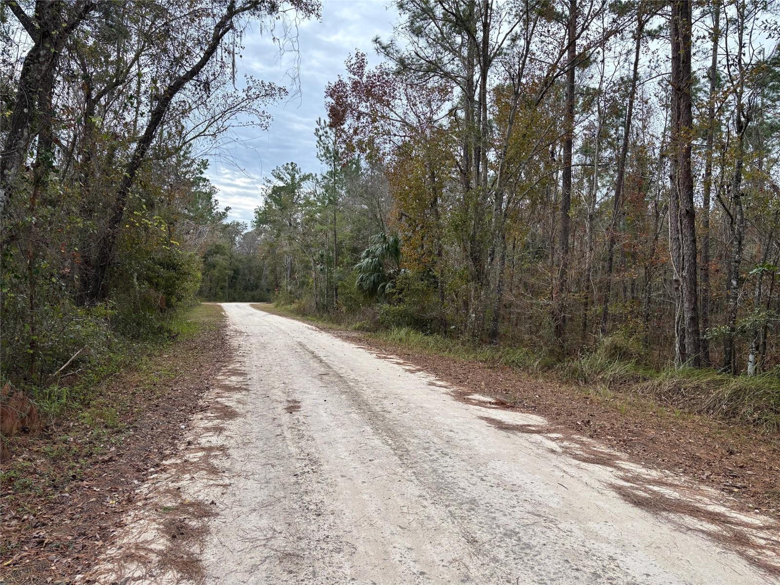 Lot 12 CAROLINA DOVE RD, BROOKSVILLE, FL, 34614