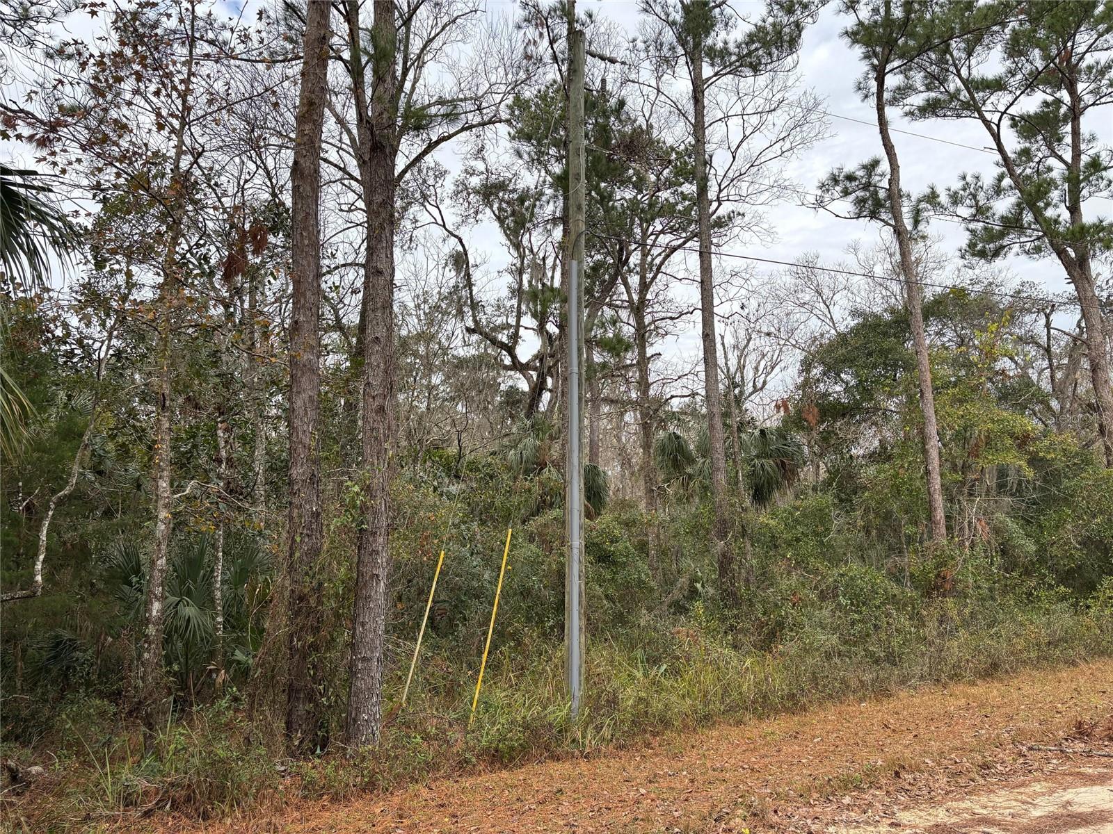Lot 12 CAROLINA DOVE RD, BROOKSVILLE, FL, 34614