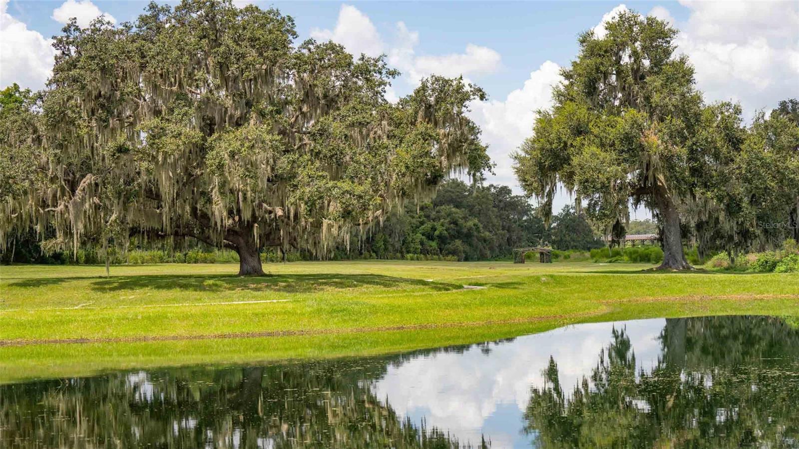 3520 MAPLE GROVE WAY, PLANT CITY, FL, 33565