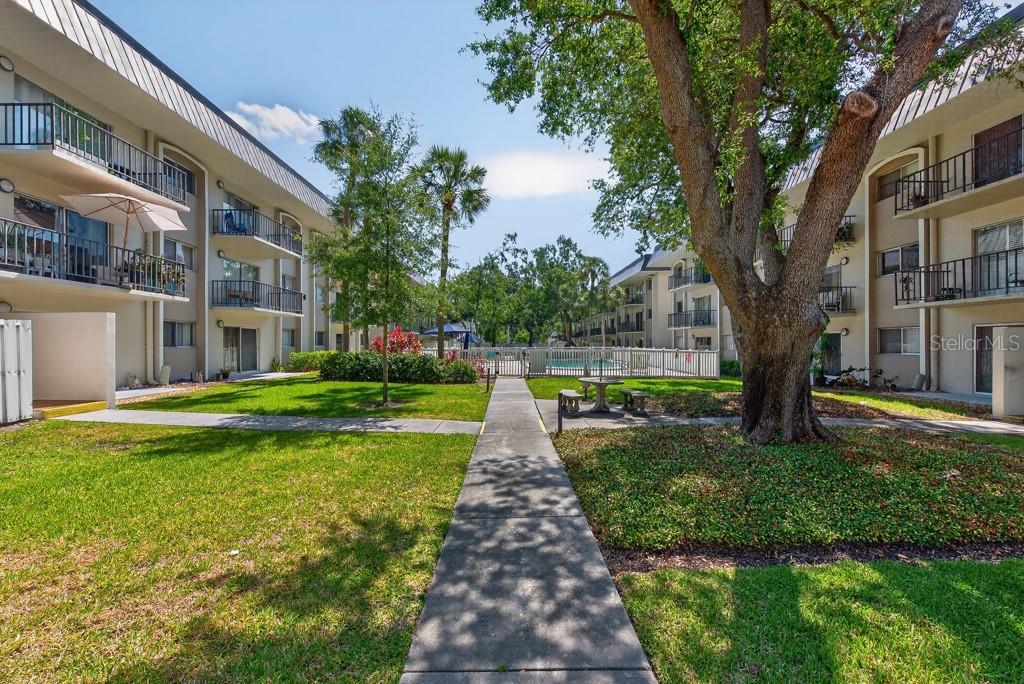 4607 W FIG ST #308, TAMPA, FL, 33609