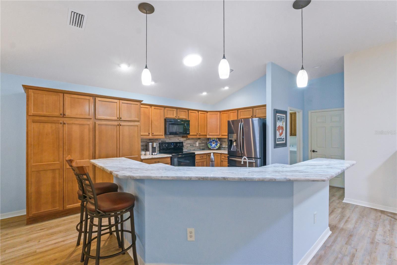 1148 ALLAIRE LOOP, THE VILLAGES, FL, 32163