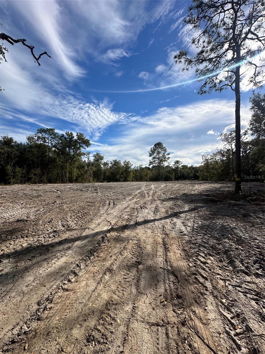 BERRYHILL DR, WEBSTER, FL, 33597