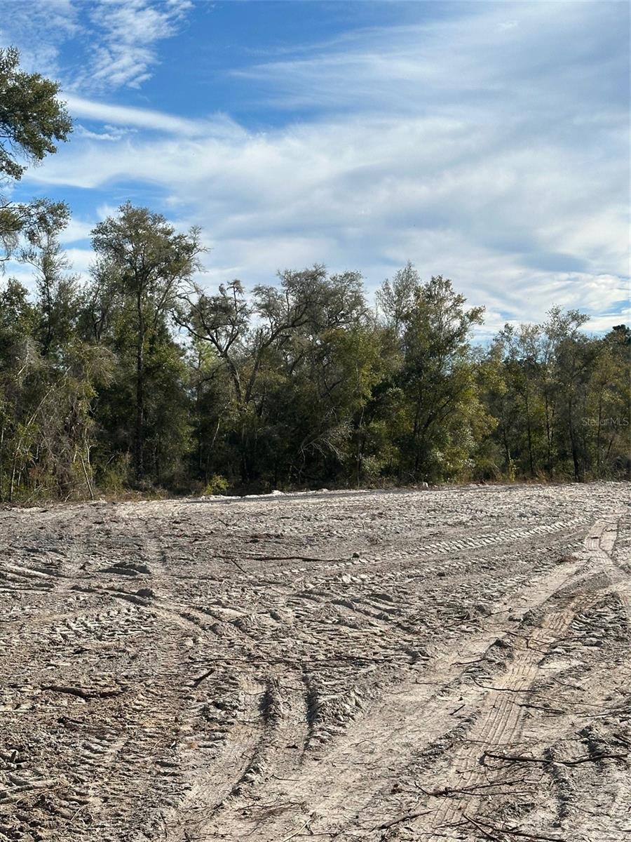 BERRYHILL DR, WEBSTER, FL, 33597