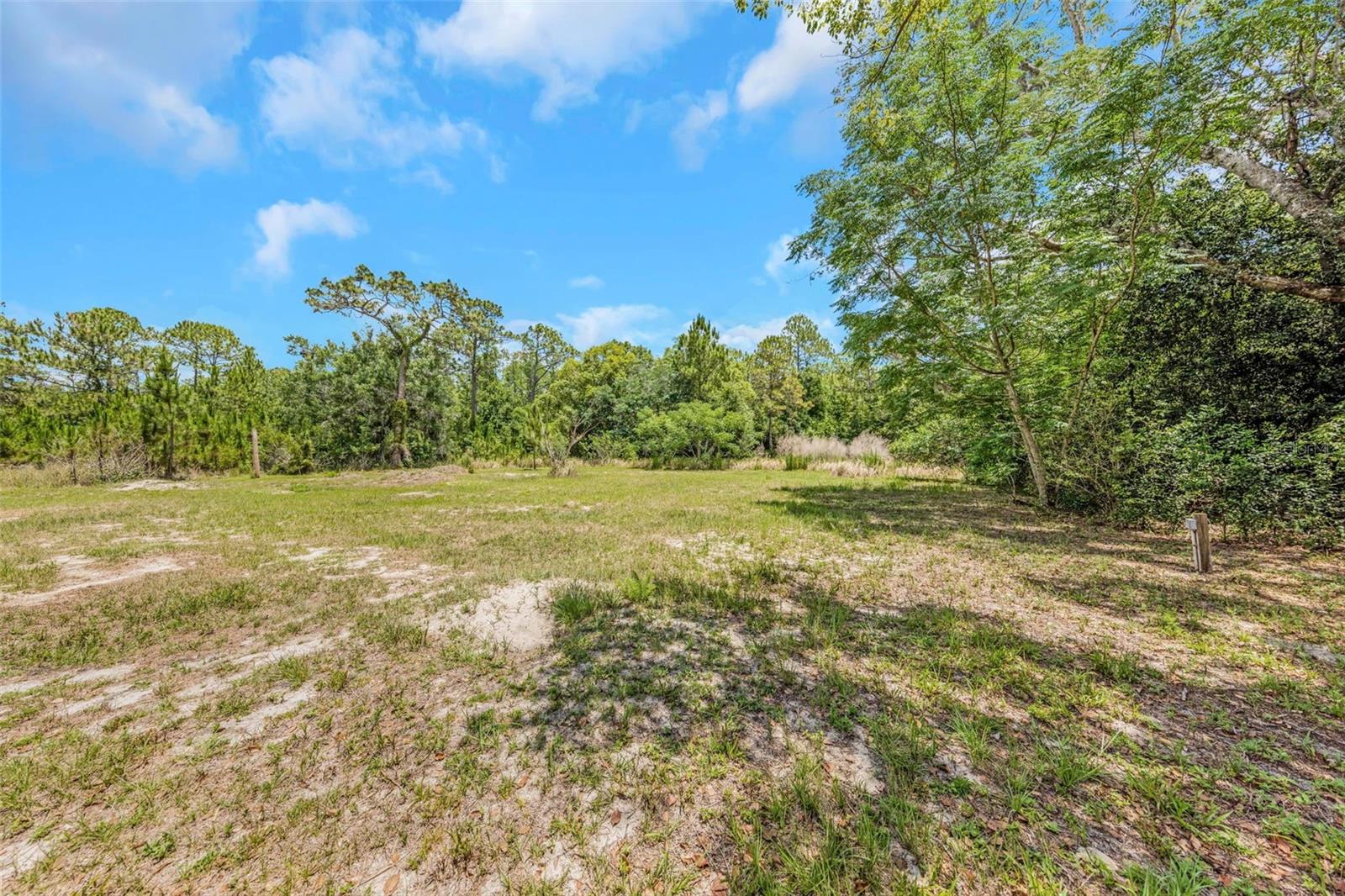 9224 ELZA ST, NEW PORT RICHEY, FL, 34654