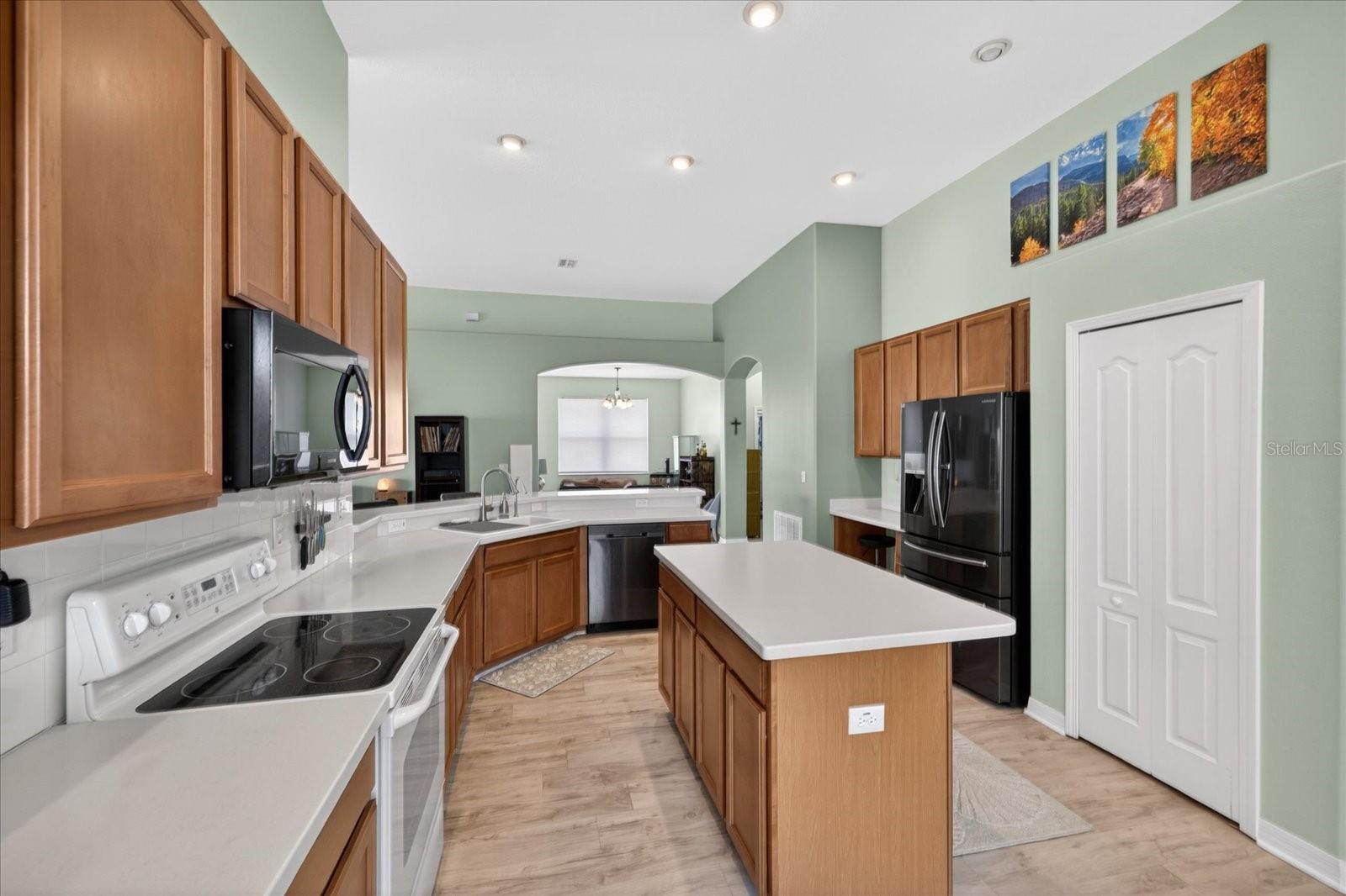 3139 DONINGTON CASTLE LN, LAND O LAKES, FL, 34638