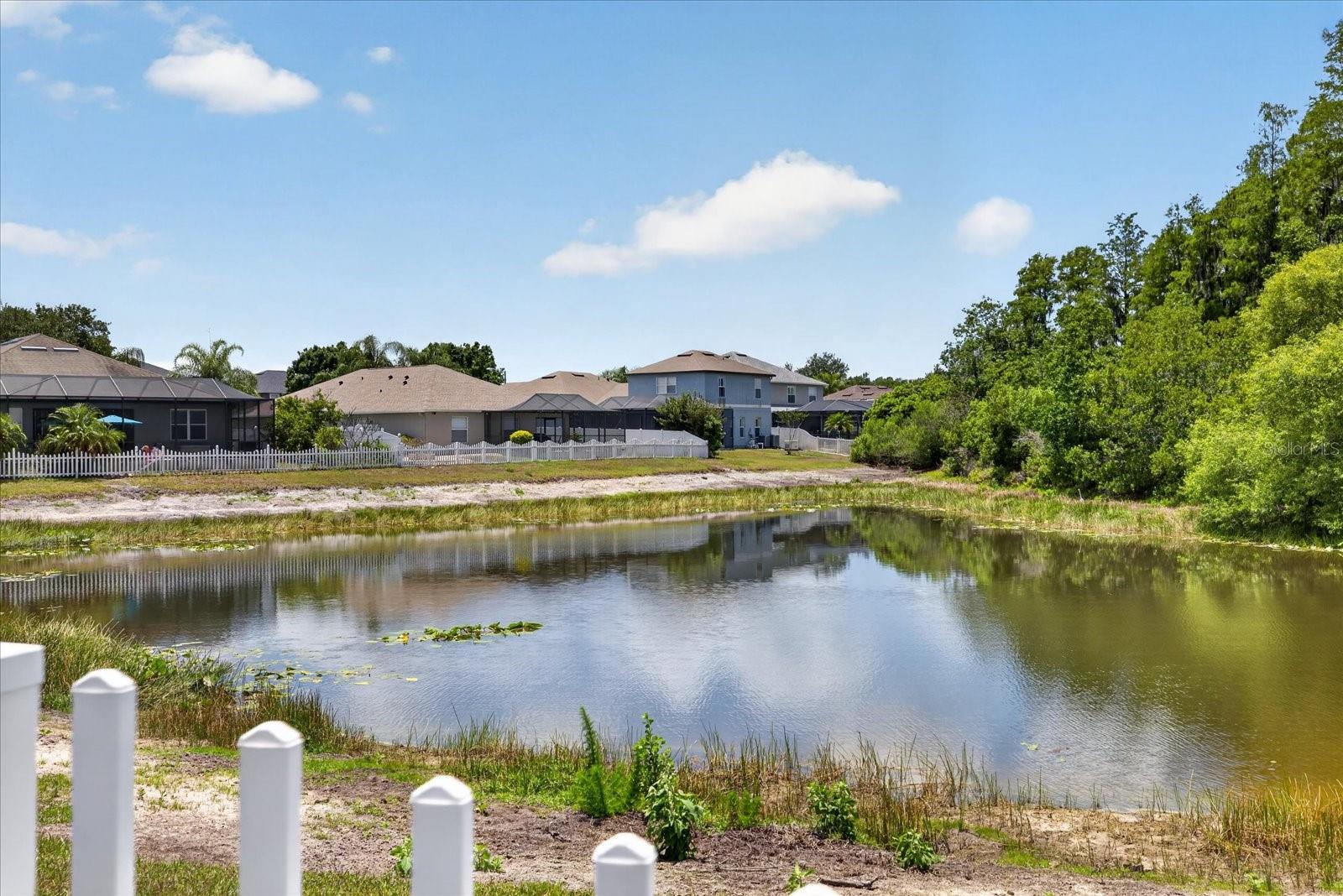 3139 DONINGTON CASTLE LN, LAND O LAKES, FL, 34638