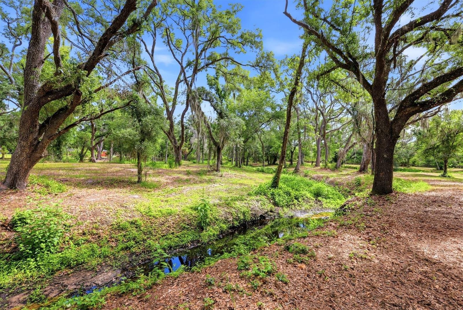 COUNTY ROAD 675, MYAKKA CITY, FL, 34251