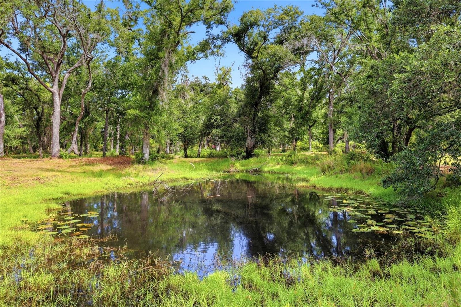 COUNTY ROAD 675, MYAKKA CITY, FL, 34251