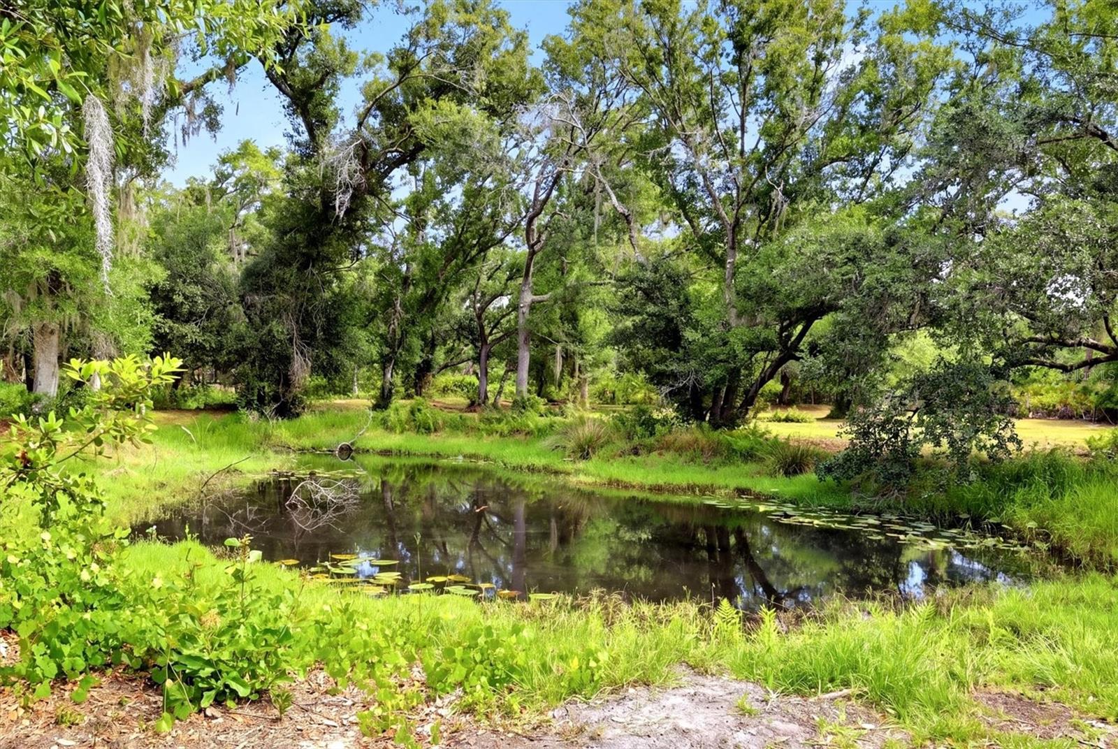 COUNTY ROAD 675, MYAKKA CITY, FL, 34251