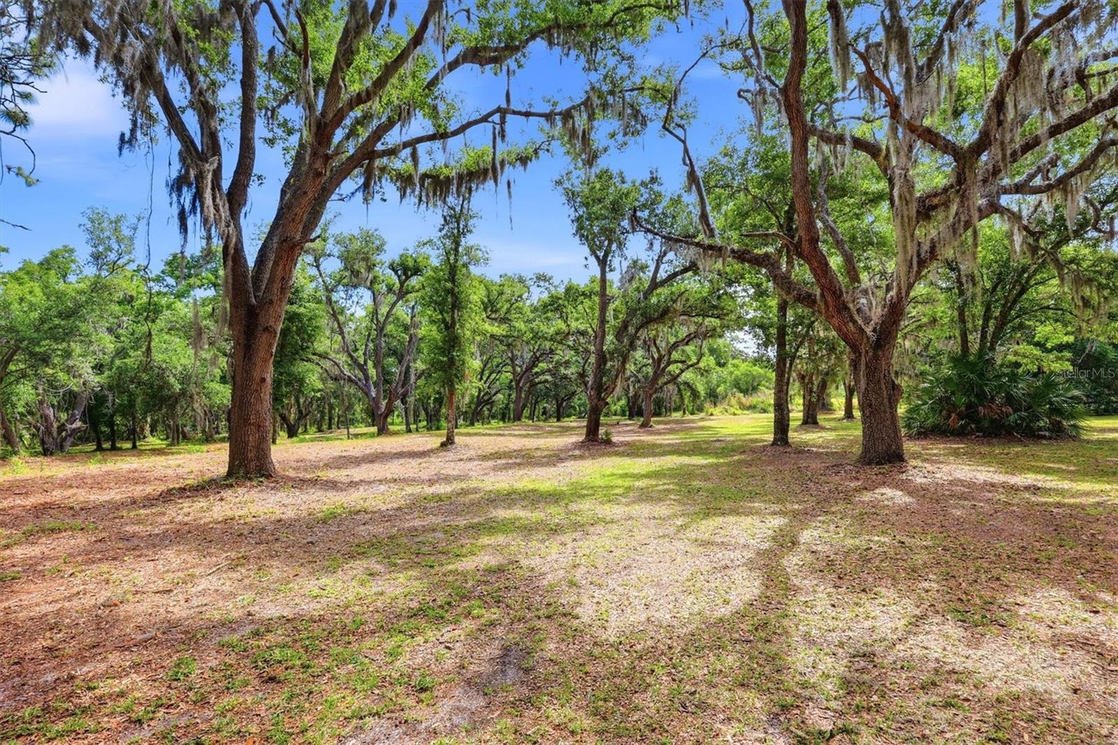 COUNTY ROAD 675, MYAKKA CITY, FL, 34251