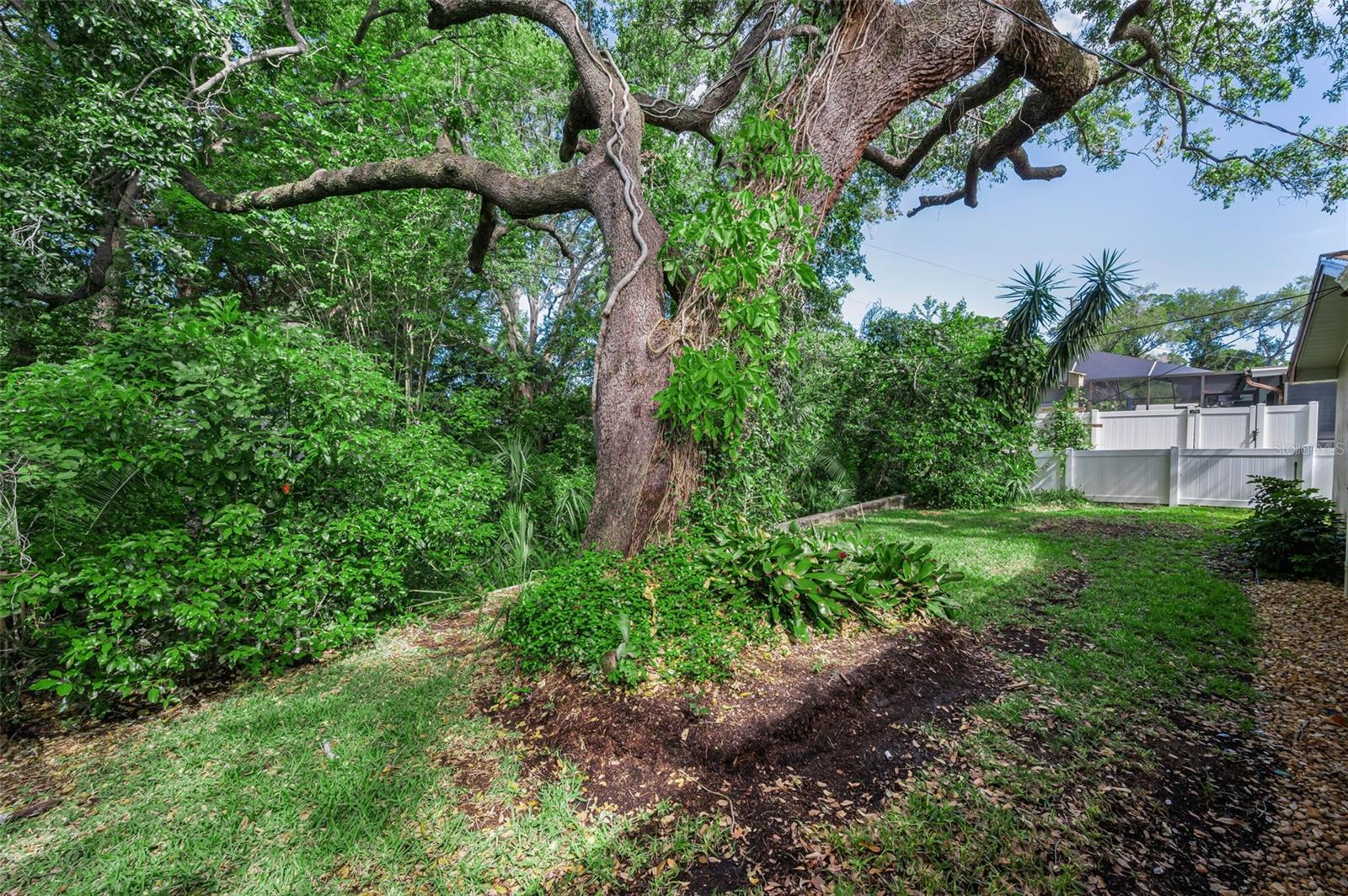 1368 WILLIAMS DR, CLEARWATER, FL, 33764