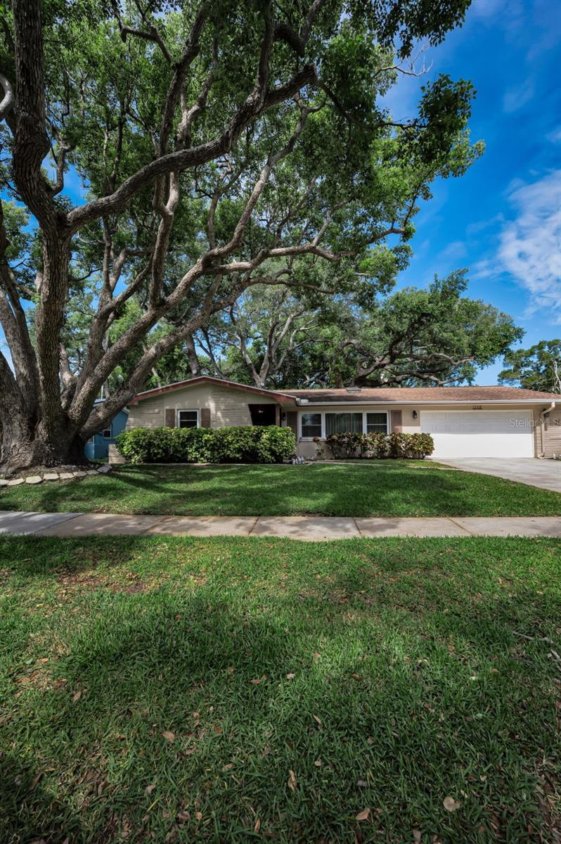 1368 WILLIAMS DR, CLEARWATER, FL, 33764