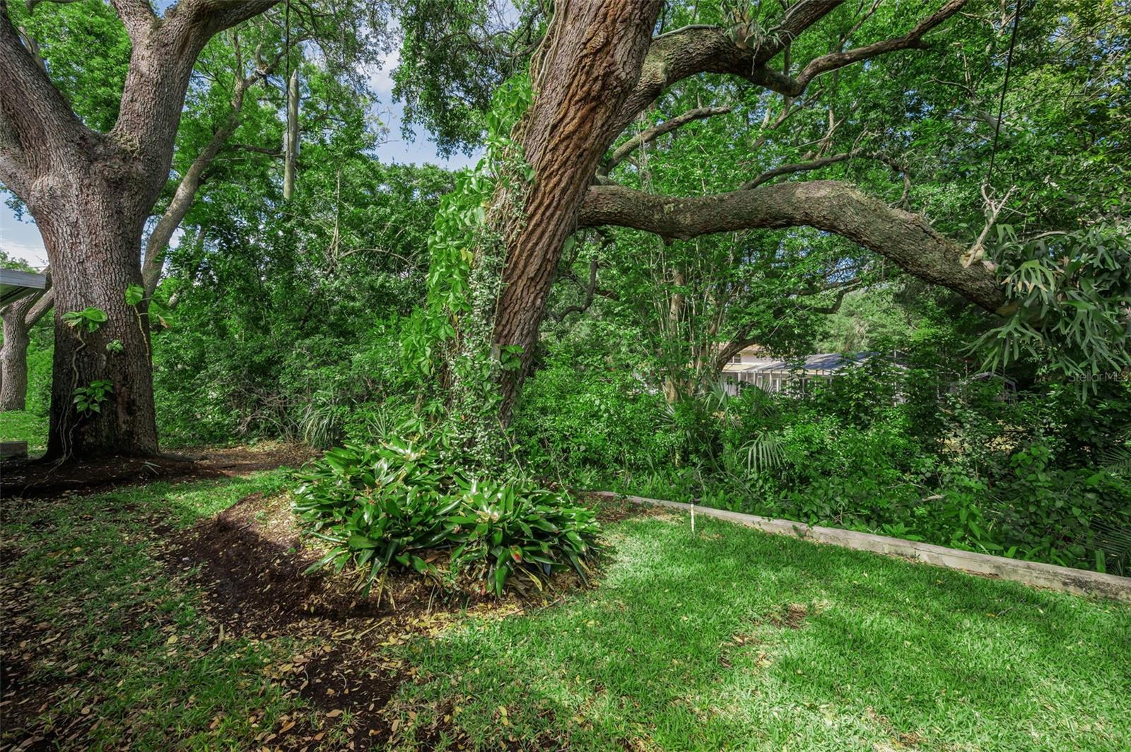1368 WILLIAMS DR, CLEARWATER, FL, 33764