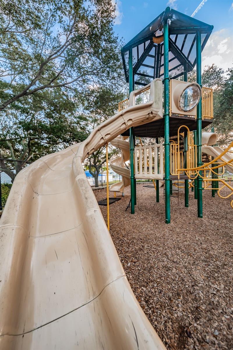 1368 WILLIAMS DR, CLEARWATER, FL, 33764